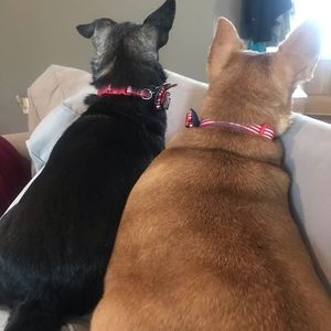 Meet your Posher, Erika